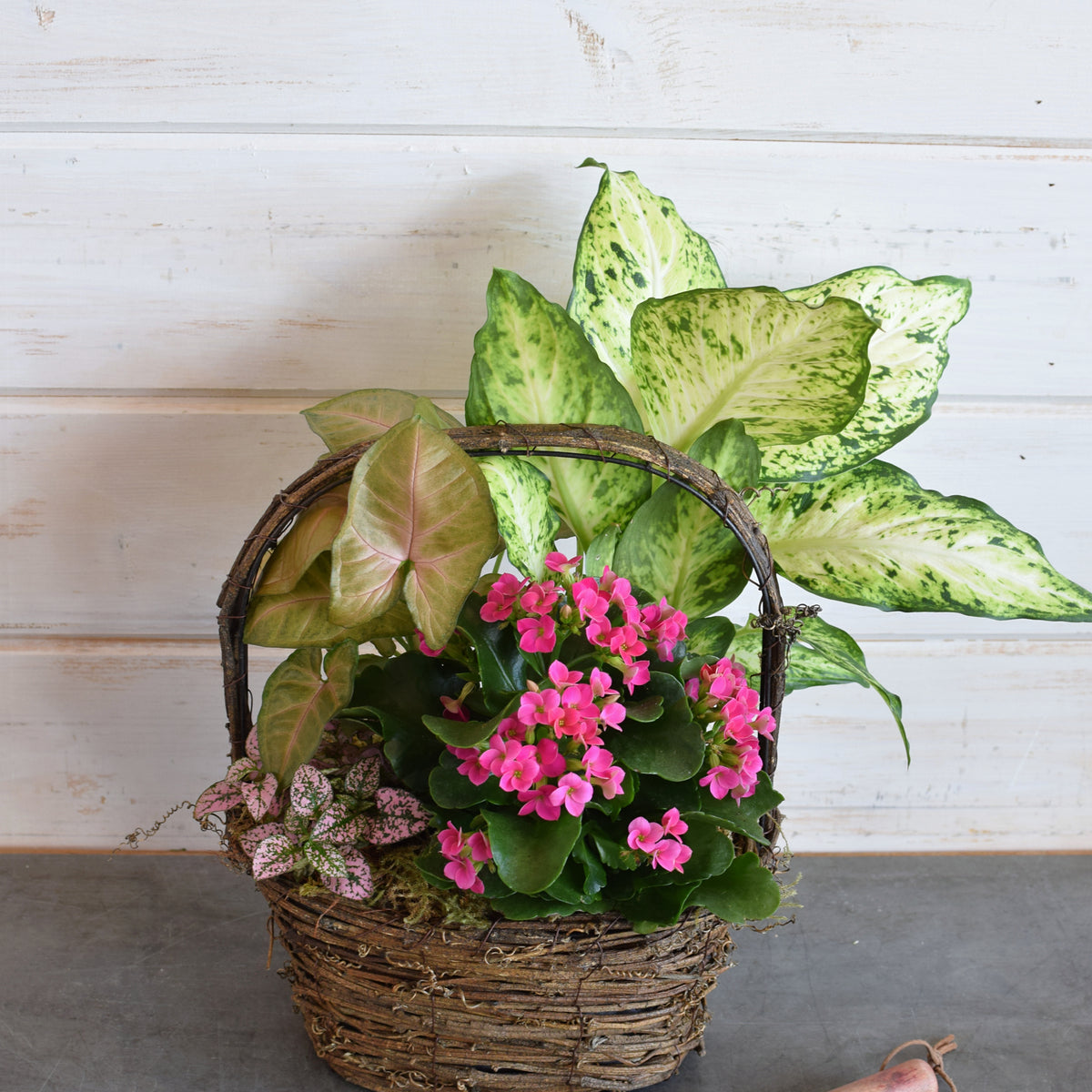 フラワー・ガーデニング thtrjrtj Mixed Plant Basket - Fresh Greenery Gifts | Flowerful Orange County