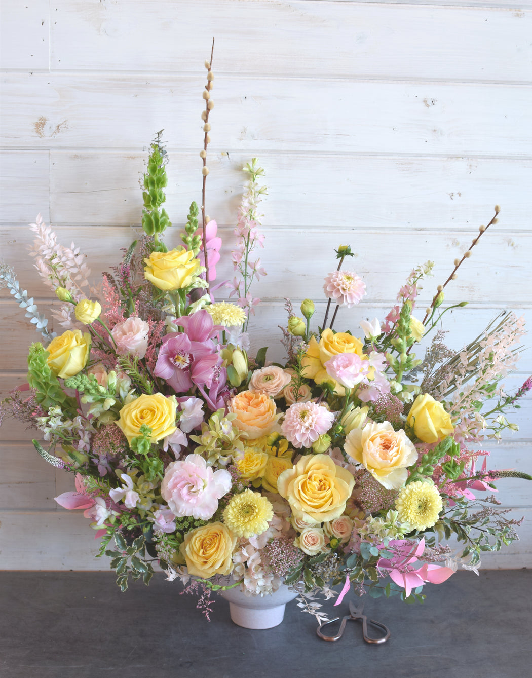 Full Bloom