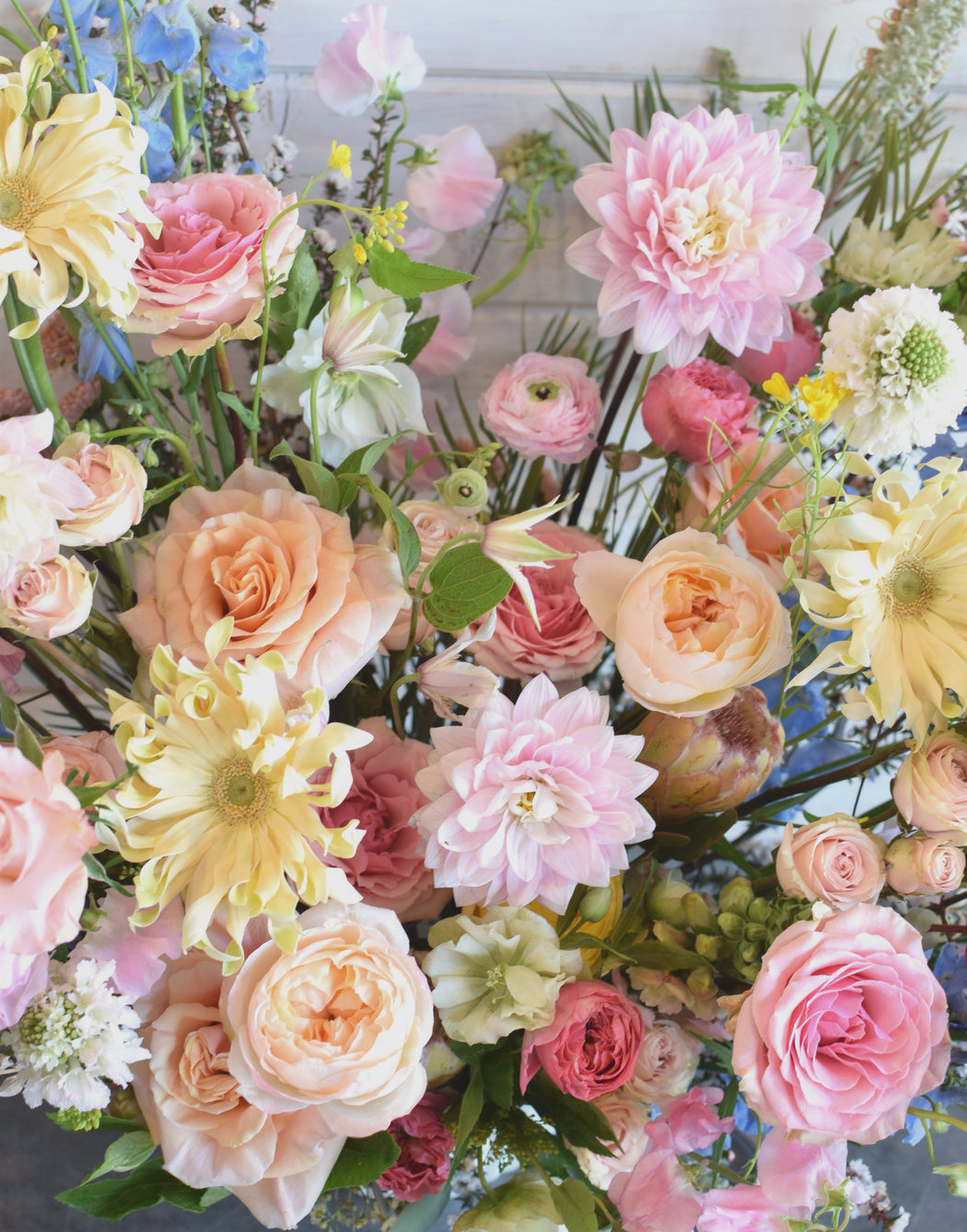 Close up view of the pastel dahlias center and delicate rose petals in the Full Bloom floral design.
