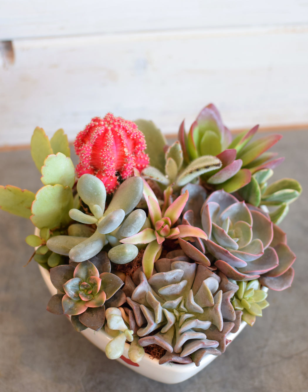Succulent Heart