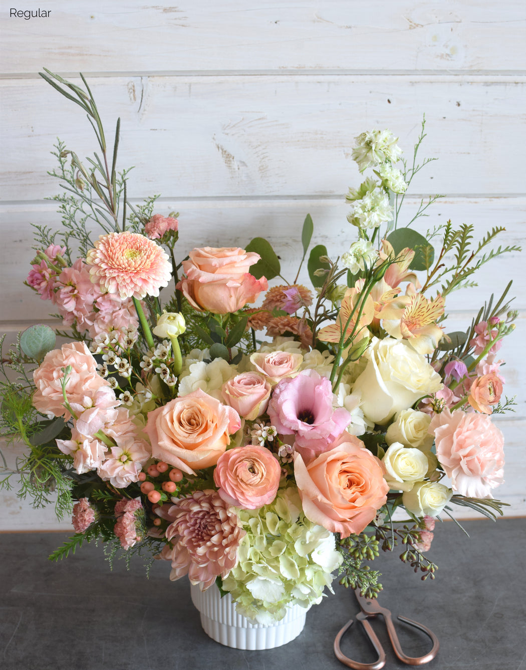 A bouquet of peach orange white flowers called the mimosa arranged in a white ceramic vase. 