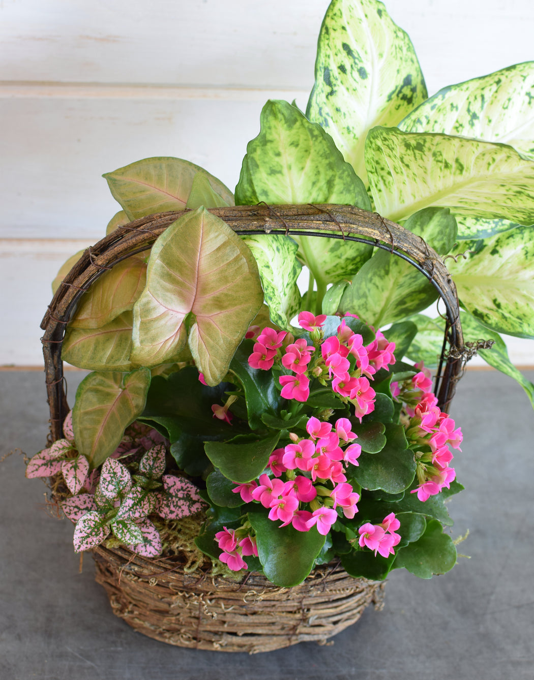 MIXED PLANT BASKET