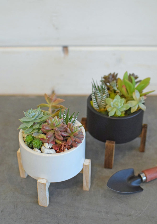 Mini Succulent Stand