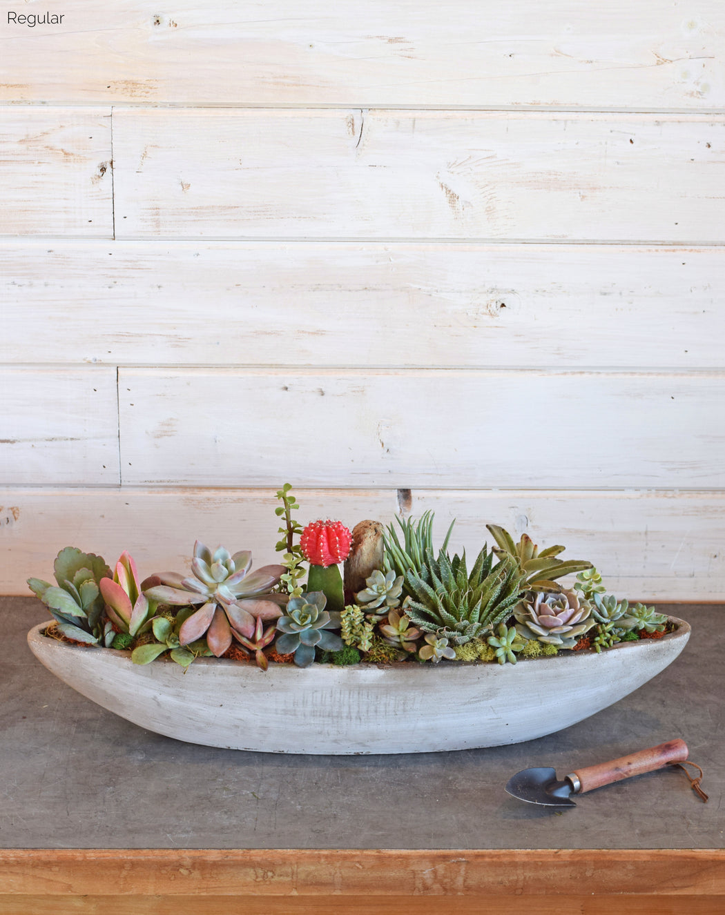 boat plant pot Succulent Boat Small